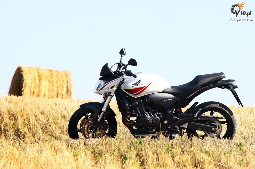 2010 Honda Hornet 600